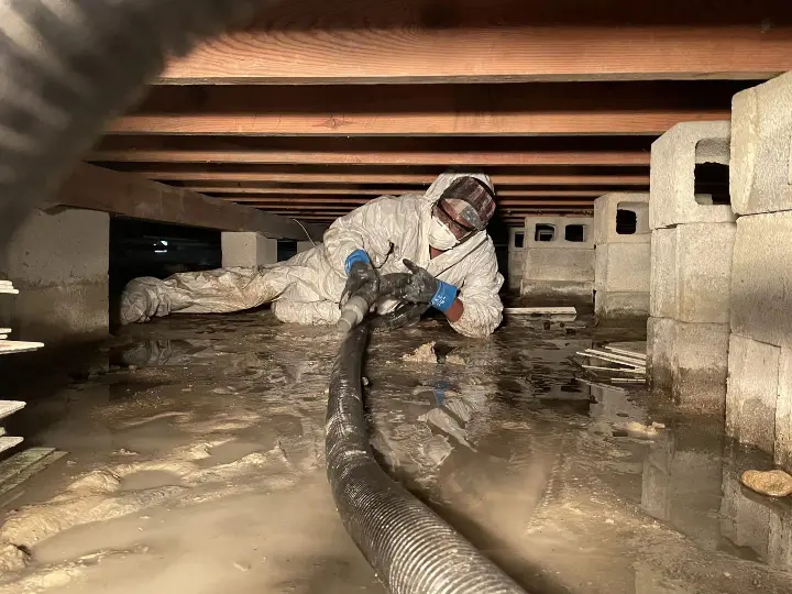 Crawl Space Cleaning